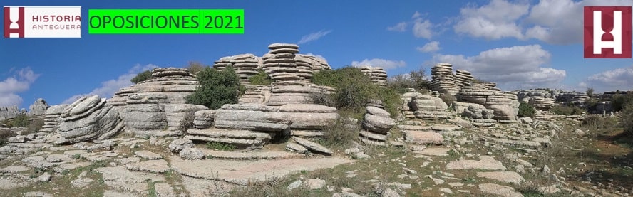 Academia oposiciones historia Andalucia
